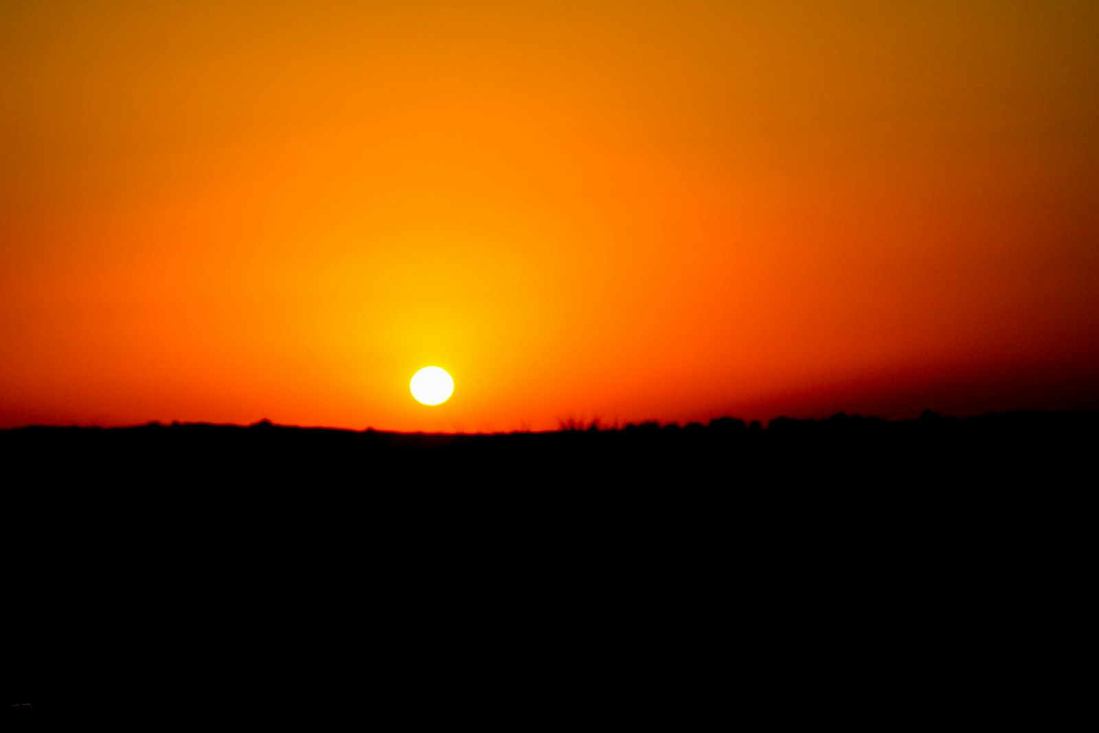 A golden sunset over a dark horizon, representing sunset policies that remove unengaged subscribers